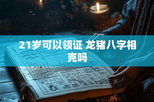 21岁可以领证 龙猪八字相克吗