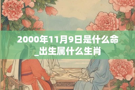 2000年11月9日是什么命_出生属什么生肖
