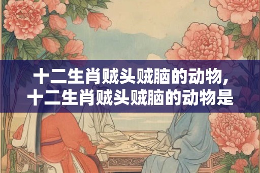 十二生肖贼头贼脑的动物,十二生肖贼头贼脑的动物是 十二生肖贼头贼脑的动物,十二生肖贼头贼脑的动物是