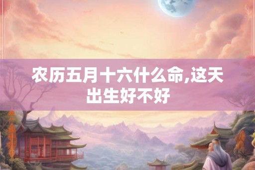 农历五月十六什么命,这天出生好不好