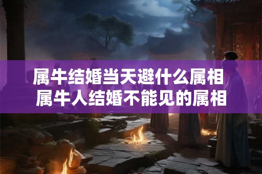 属牛结婚当天避什么属相 属牛人结婚不能见的属相 属牛结婚当天避什么属相 属牛人结婚不能见的属相