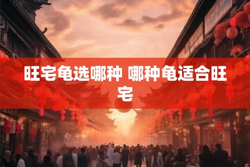 旺宅龟选哪种 哪种龟适合旺宅
