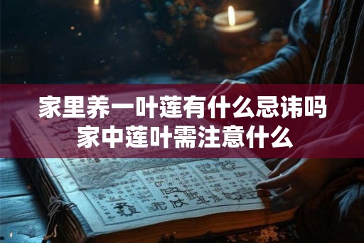家里养一叶莲有什么忌讳吗 家中莲叶需注意什么