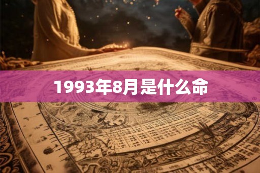 1993年8月是什么命