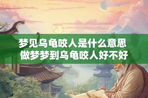 梦见乌龟咬人是什么意思 做梦梦到乌龟咬人好不好 梦见乌龟咬人是什么意思 做梦梦到乌龟咬人好不好