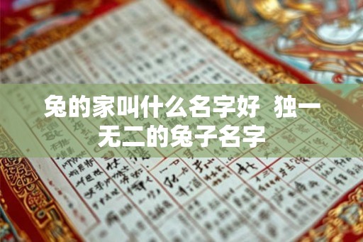 兔的家叫什么名字好  独一无二的兔子名字