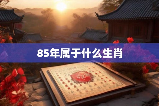 85年属于什么生肖