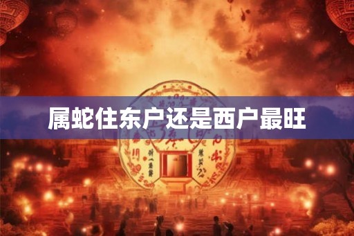 属蛇住东户还是西户最旺