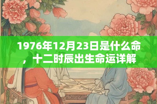 1976年12月23日是什么命，十二时辰出生命运详解