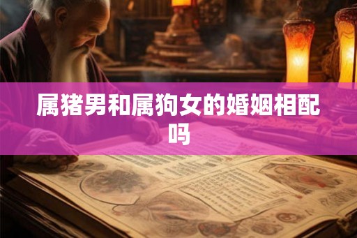属猪男和属狗女的婚姻相配吗 属猪男和属狗女的婚姻相配吗