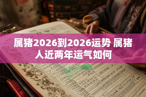 属猪2026到2026运势 属猪人近两年运气如何 属猪2026到2026运势 属猪人近两年运气如何