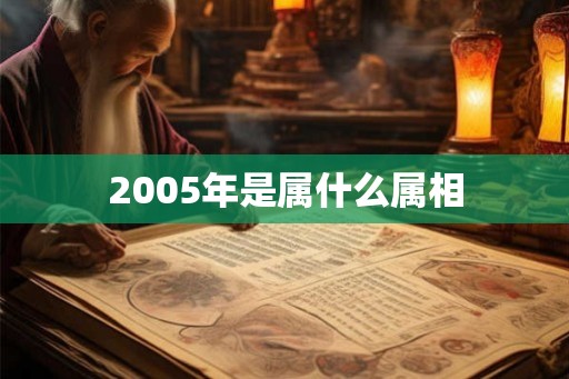 2005年是属什么属相