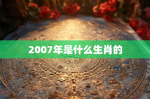 2007年是什么生肖的