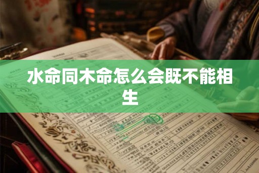 水命同木命怎么会既不能相生
