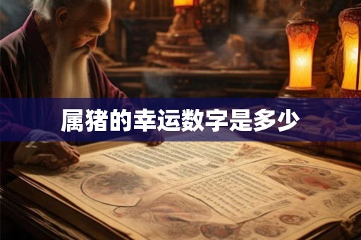 属猪的幸运数字是多少