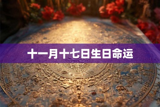 十一月十七日生日命运
