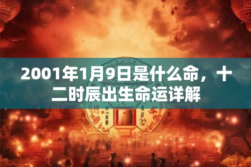 2001年1月9日是什么命，十二时辰出生命运详解