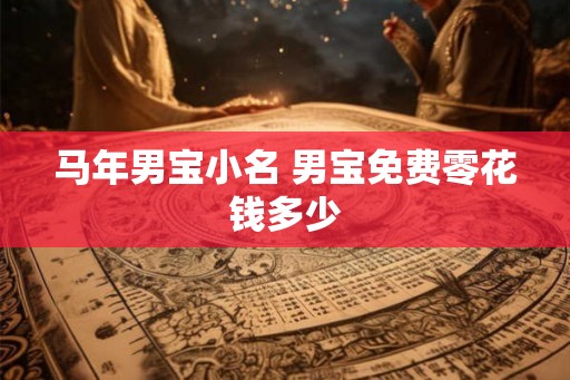 马年男宝小名 男宝免费零花钱多少