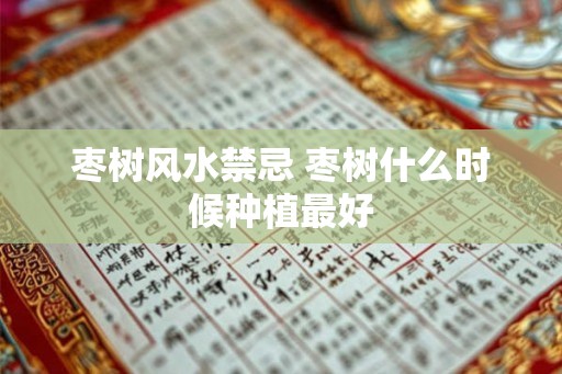 枣树风水禁忌 枣树什么时候种植最好