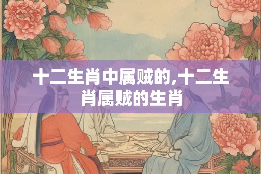 十二生肖中属贼的,十二生肖属贼的生肖