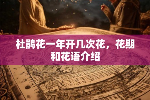 杜鹃花一年开几次花,花期和花语介绍 杜鹃花一年开几次花,花期和花语介绍