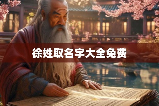 徐姓取名字大全免费