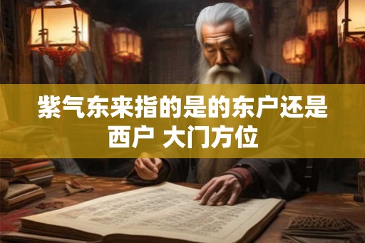 紫气东来指的是的东户还是西户 大门方位