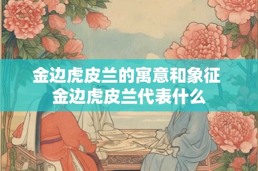 金边虎皮兰的寓意和象征 金边虎皮兰代表什么 金边虎皮兰的寓意和象征 金边虎皮兰代表什么