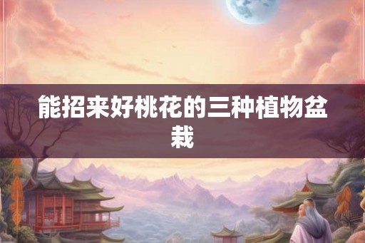能招来好桃花的三种植物盆栽