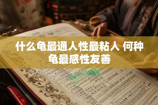 什么龟最通人性最粘人 何种龟最感性友善 什么龟最通人性最粘人 何种龟最感性友善