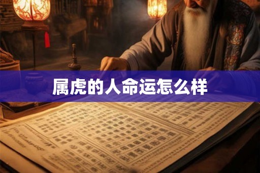 属虎的人命运怎么样