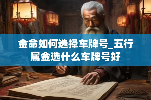 金命如何选择车牌号_五行属金选什么车牌号好
