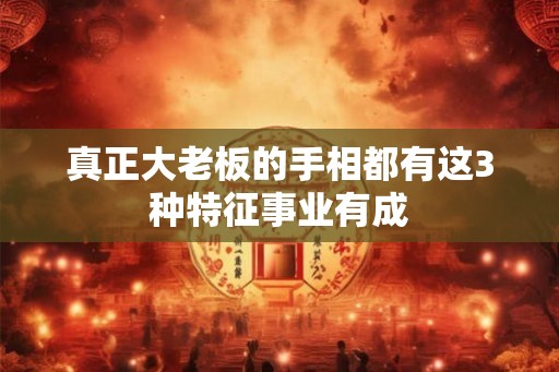 真正大老板的手相都有这3种特征事业有成 真正大老板的手相都有这3种特征事业有成