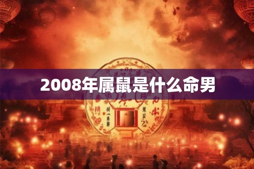 2008年属鼠是什么命男