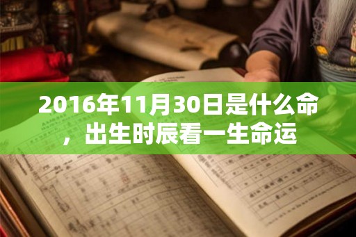 2016年11月30日是什么命,出生时辰看一生命运 2016年11月30日是什么命,出生时辰看一生命运