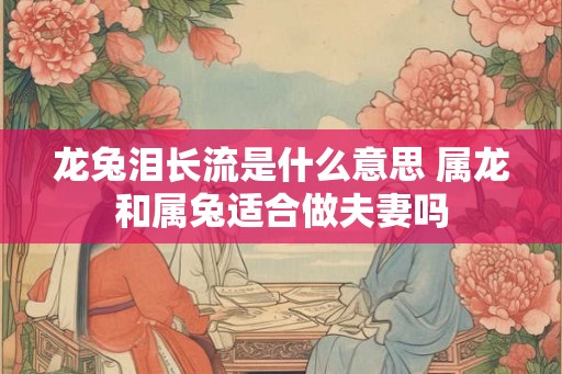 龙兔泪长流是什么意思 属龙和属兔适合做夫妻吗 龙兔泪长流是什么意思 属龙和属兔适合做夫妻吗