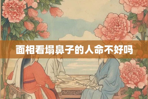 面相看塌鼻子的人命不好吗