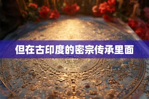 但在古印度的密宗传承里面