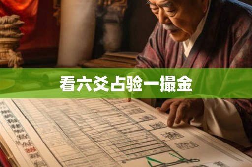 看六爻占验一撮金