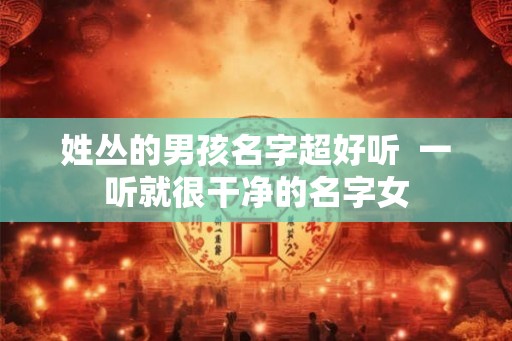 姓丛的男孩名字超好听  一听就很干净的名字女