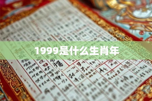 1999是什么生肖年