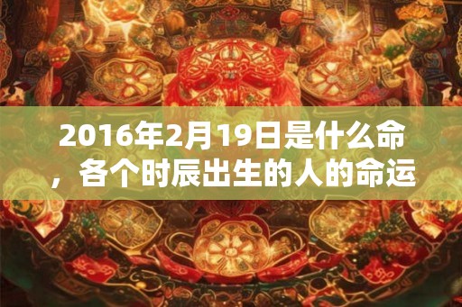 2016年2月19日是什么命，各个时辰出生的人的命运