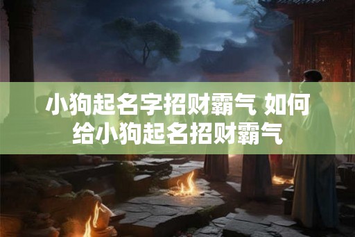小狗起名字招财霸气 如何给小狗起名招财霸气