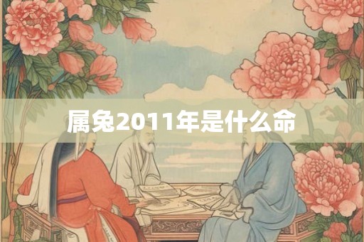 属兔2011年是什么命