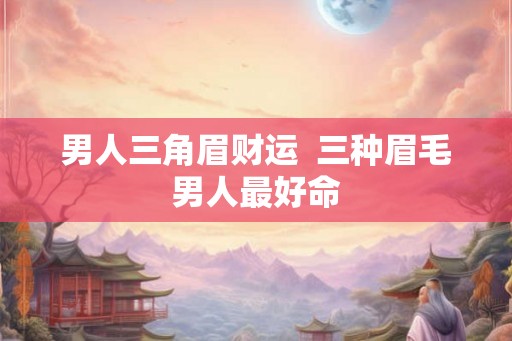 男人三角眉财运  三种眉毛男人最好命