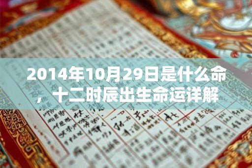 2014年10月29日是什么命，十二时辰出生命运详解