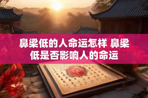鼻梁低的人命运怎样 鼻梁低是否影响人的命运