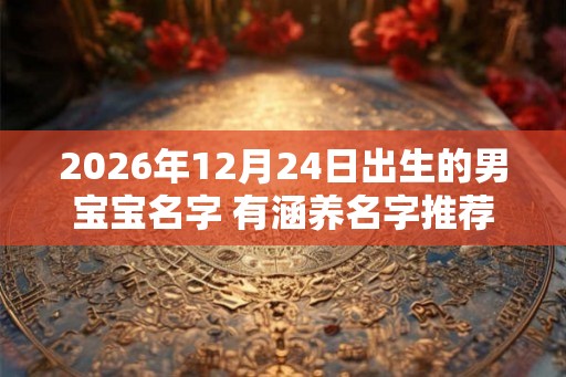 2026年12月24日出生的男宝宝名字 有涵养名字推荐