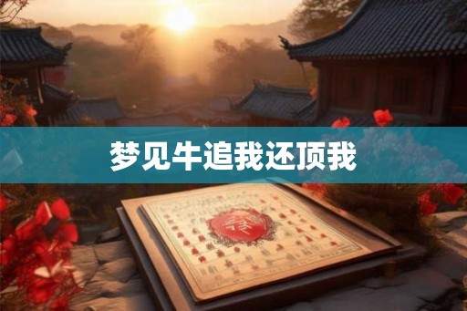 梦见牛追我还顶我