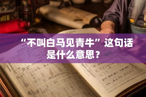 “不叫白马见青牛”这句话是什么意思? “不叫白马见青牛”这句话是什么意思?